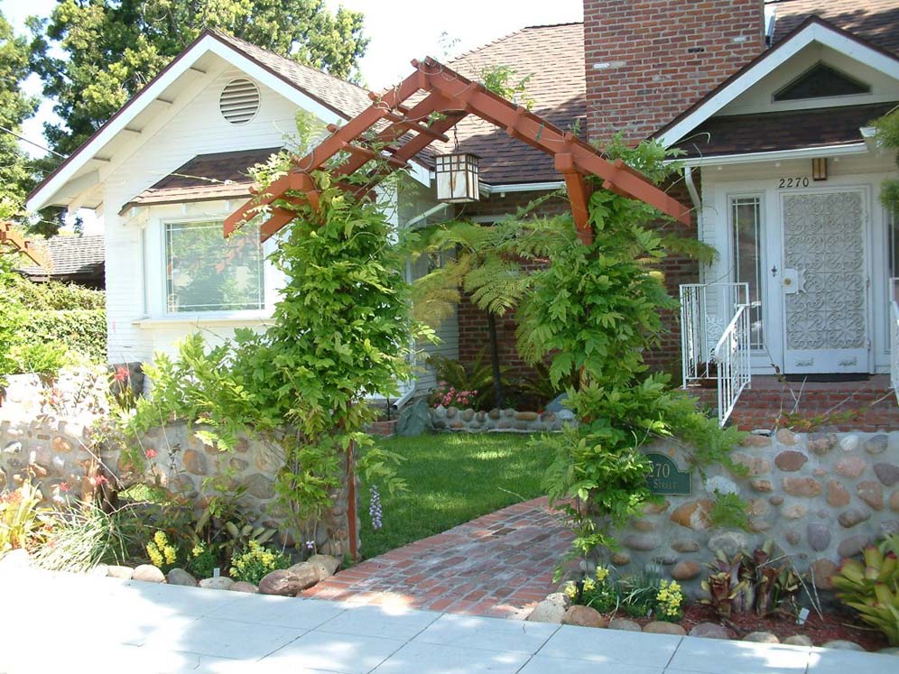 Vine Clad Arbor