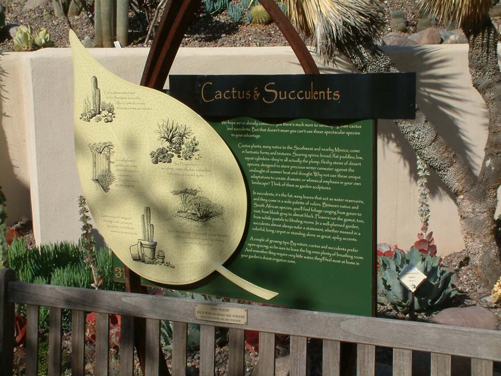 Cactus and Succulent Information