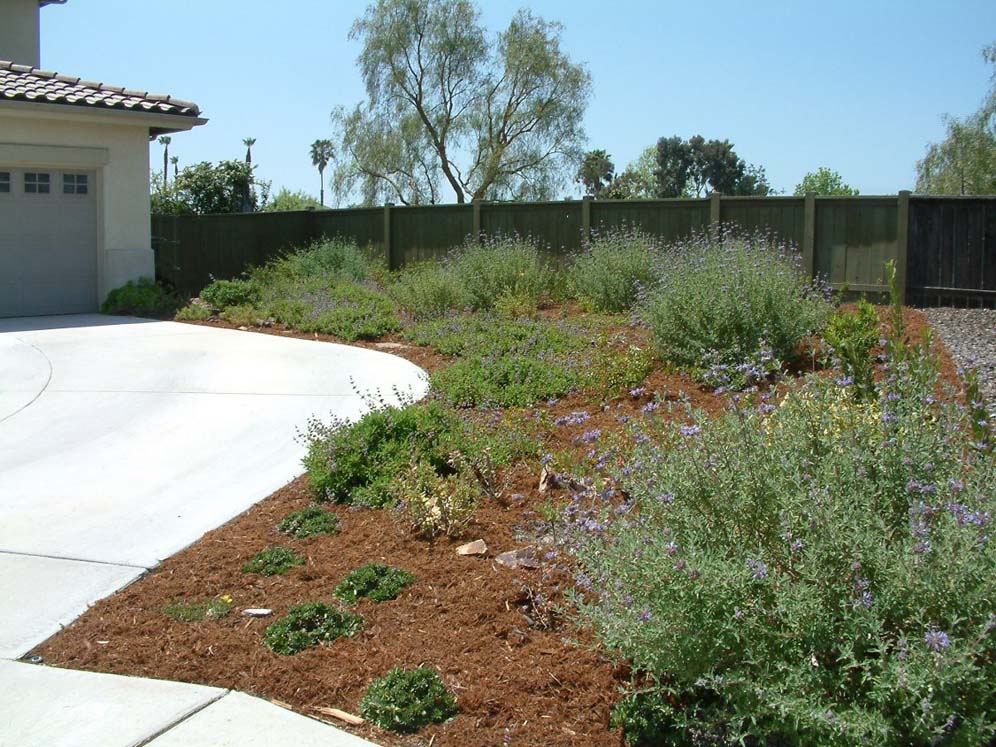 Well-Mulched Garden