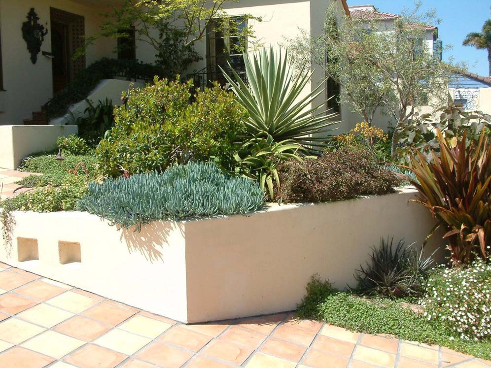 Stucco Wall of Succulents